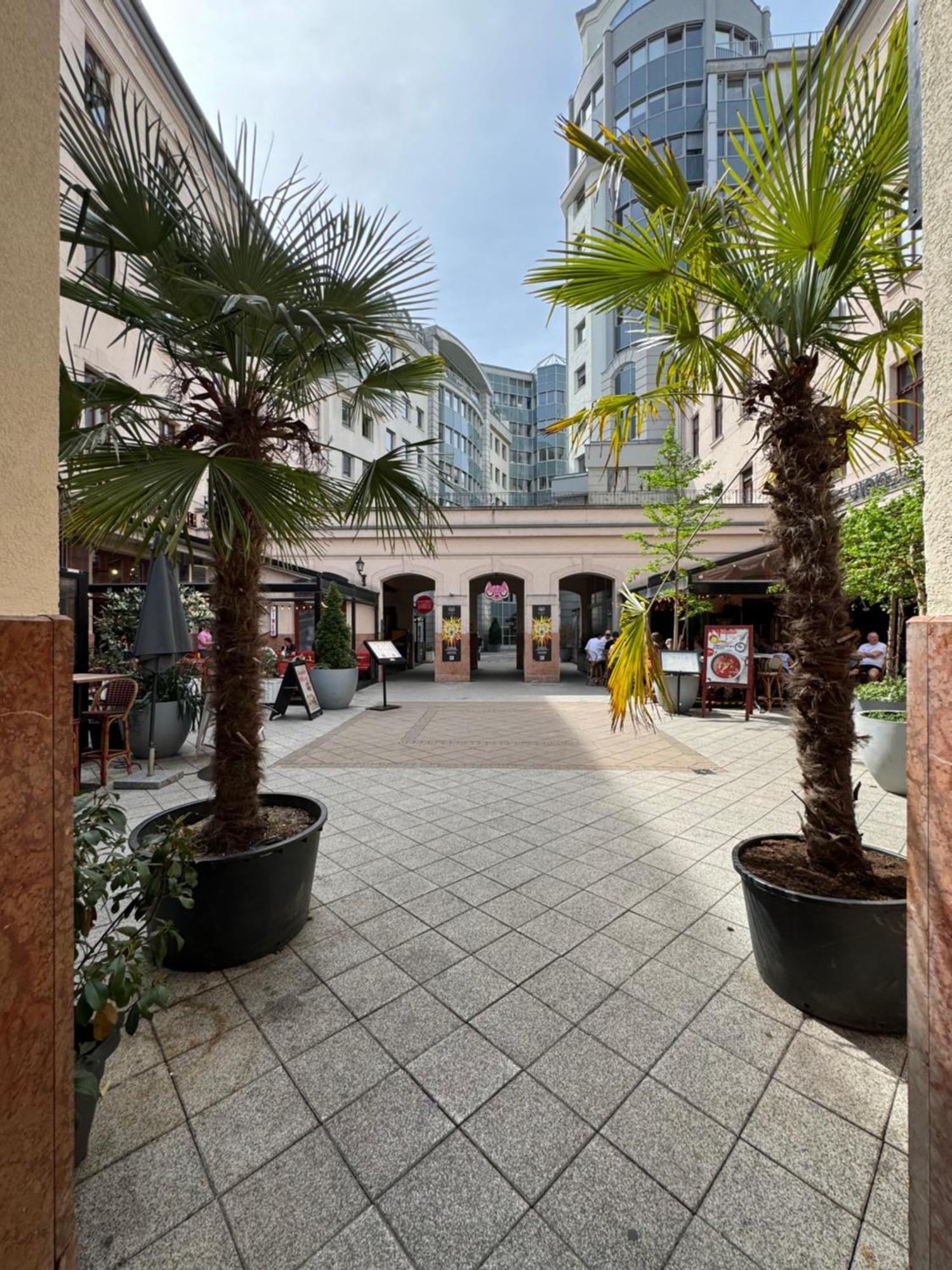 Novo Central Apartments Budapest Phòng bức ảnh